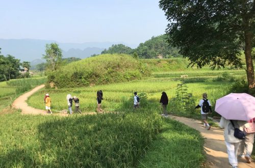 Trường thi #1: Mở đầu