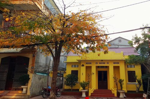 Di sản để lại #1: Sắc màu