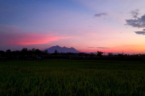 Rặng Ba Vì