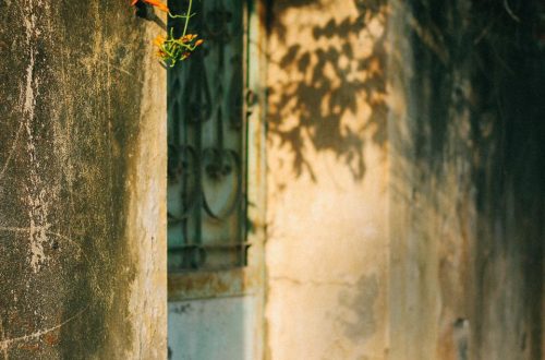 In the town #25: Ngõ nắng