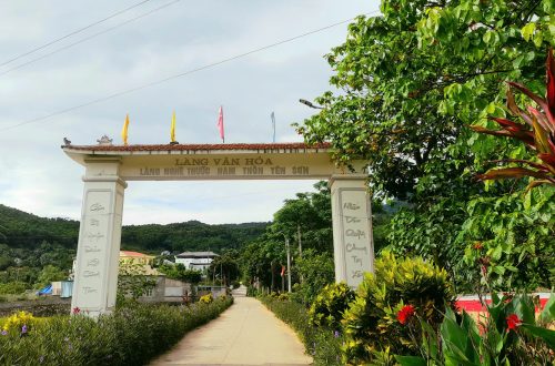 Về bản thuốc Nam người Dao Yên Sơn, Ba Vì