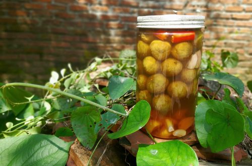 Sấu đã vào mùa quả